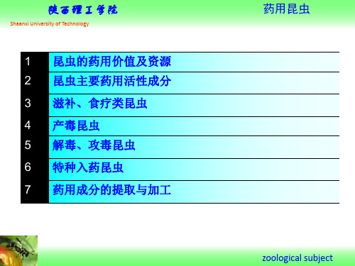 7-资源昆虫学-药用昆虫
