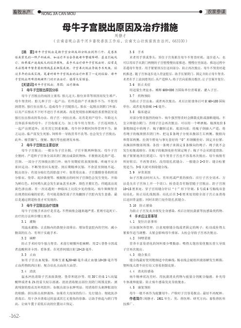 母牛子宫脱出原因及治疗措施
