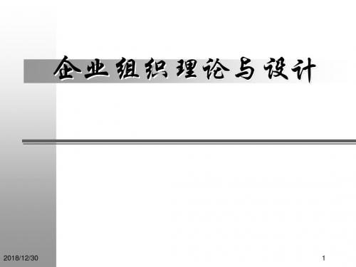 北大纵横—国投中鲁果汁—企业组织理论与设计