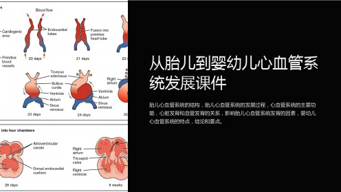 从胎儿到婴幼儿心血管系统发展课件