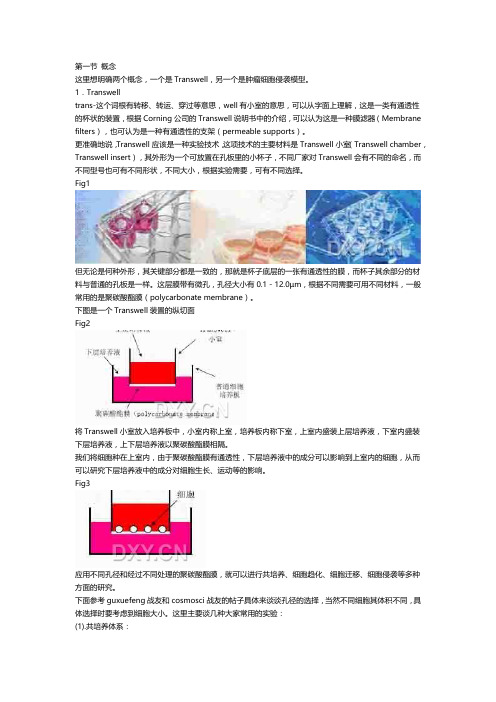 transwell实验(整理版)