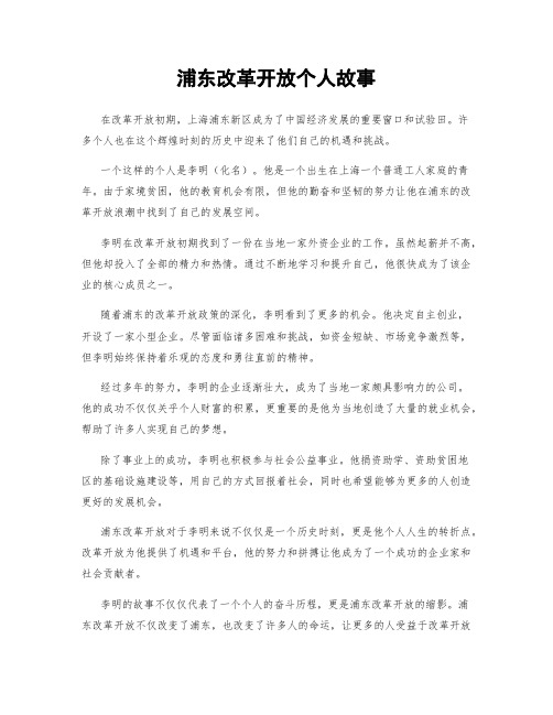 浦东改革开放个人故事