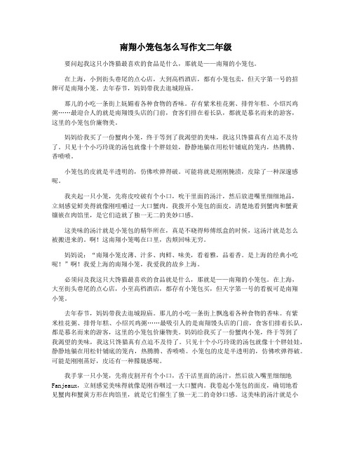 南翔小笼包怎么写作文二年级