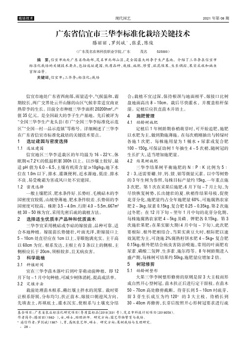 广东省信宜市三华李标准化栽培关键技术