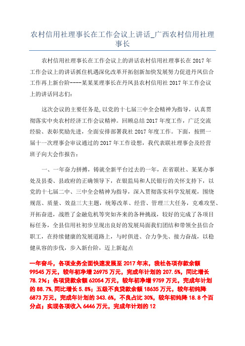 农村信用社理事长在工作会议上讲话_广西农村信用社理事长