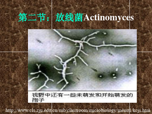 第一章3(放线菌)