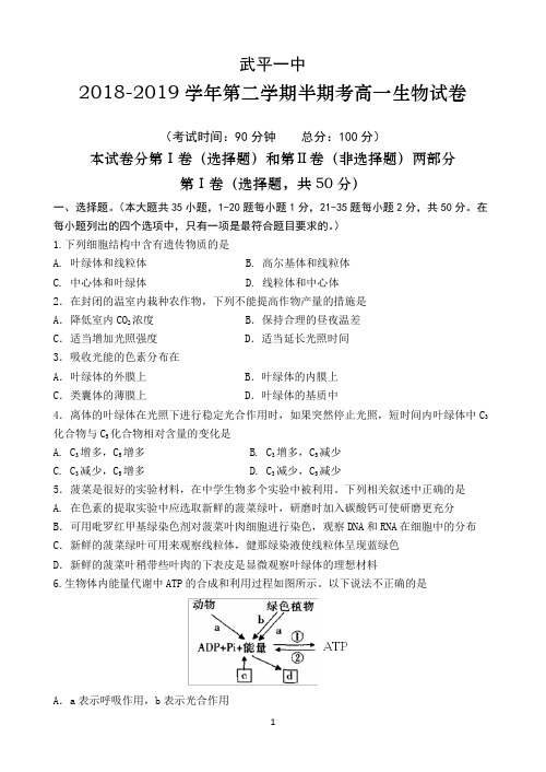 福建省武平县第一中学2018-2019学年高一下学期期中考试 生物 Word版含答案