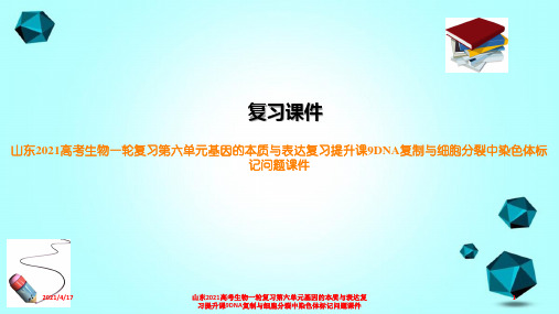 山东2021高考生物一轮复习第六单元基因的本质与表达复习提升课9DNA复制与细胞分裂中染色体标记问