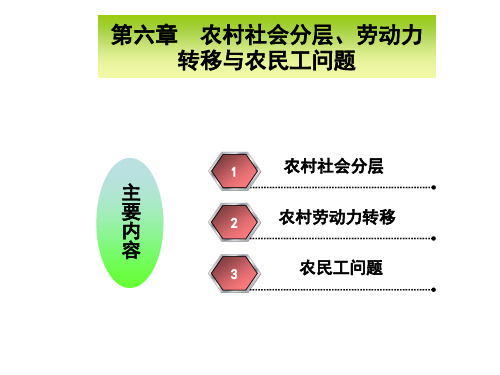 第七章农村社会分层劳动力转移与农民工问题