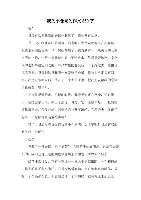 我的小仓鼠的作文350字