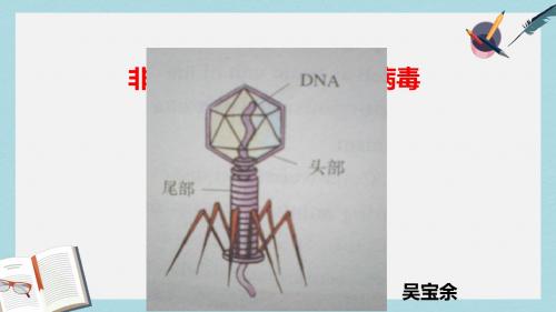 沪科版高中生命科学第一册3.3《非细胞形态的生物-病毒》ppt课件3