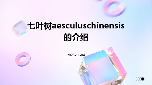 七叶树Aesculuschinensis的介绍