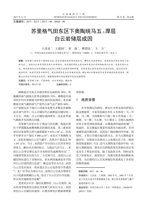 苏里格气田东区下奥陶统马五5厚层白云岩储层成因