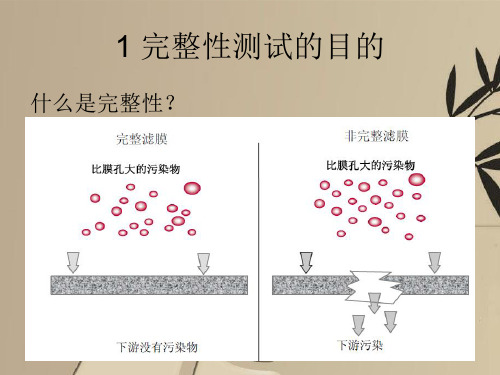 完整性测试简介