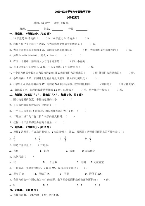 人教版2023-2024学年六年级下册数学小升初复习卷(试题)(含解析)