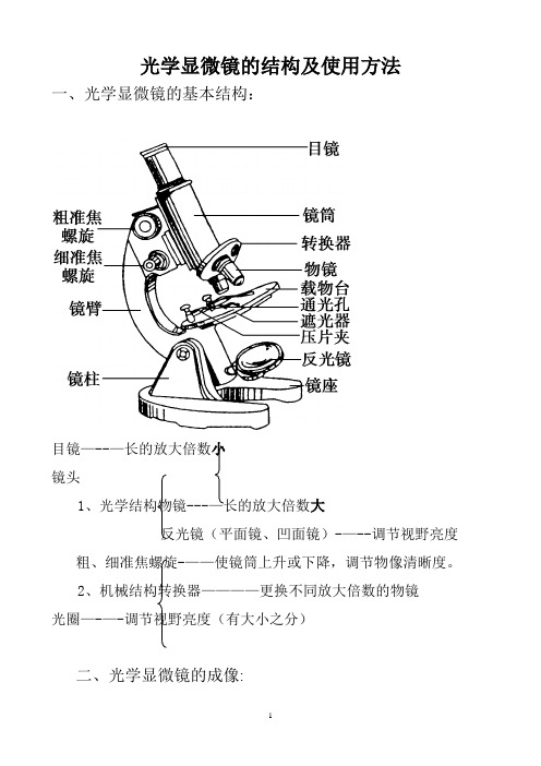 显微镜的结构及使用方法