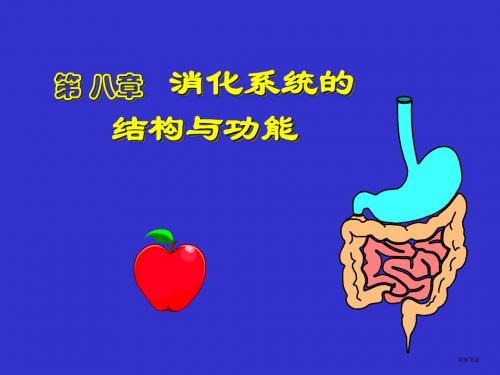 第八章 消化