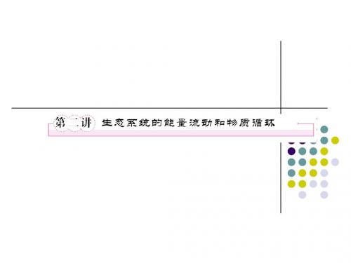 必修三5-2生态系统的能量流动和物质循环