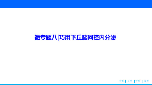 高中生物(知识归纳 命题探究)课件微专题八  巧用下丘脑网控内分泌