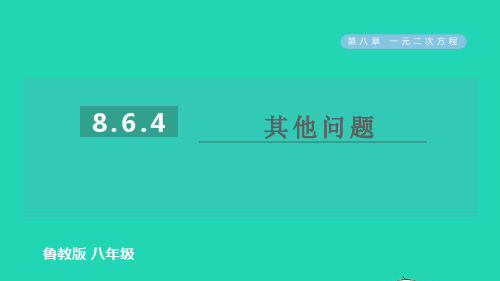 2022春八年级数学下册第八章一元二次方程的应用第4课时其他问题习题课件鲁教版五四制ppt