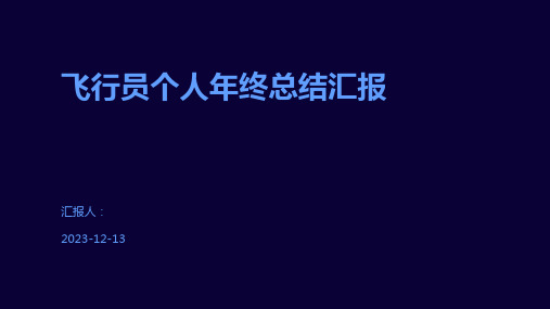 飞行员个人年终总结汇报