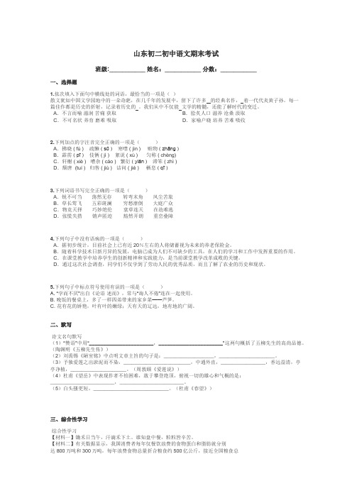 山东初二初中语文期末考试带答案解析