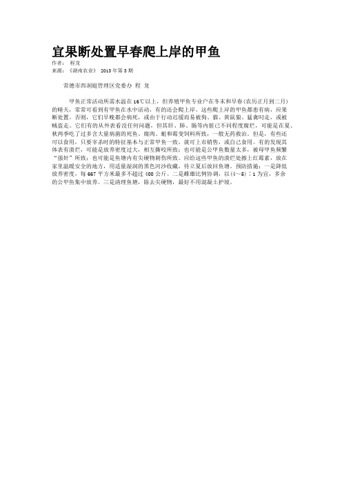 宜果断处置早春爬上岸的甲鱼   