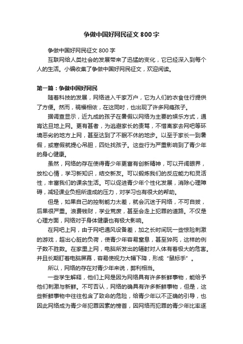 争做中国好网民征文800字