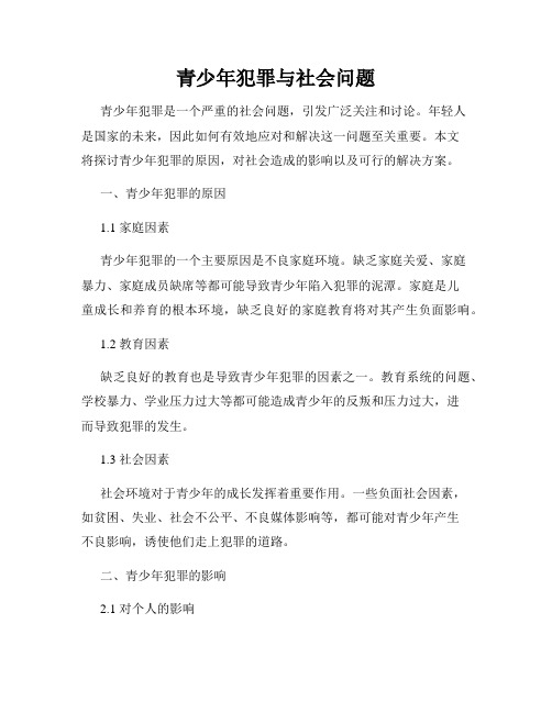 青少年犯罪与社会问题