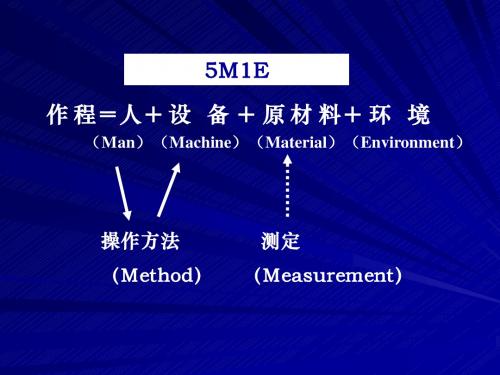 5M1E