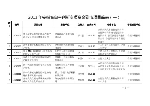 2013年安徽自主创新专项资金到项目简表