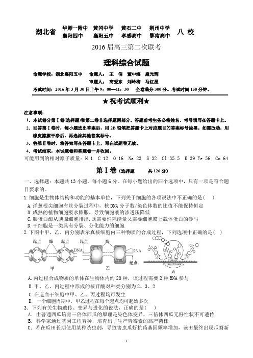 湖北省八校2016届高三3月联考理科综合试题含答案讲解