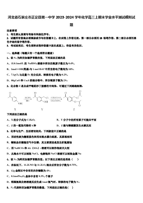 河北省石家庄市正定县第一中学2023-2024学年化学高三上期末学业水平测试模拟试题含解析