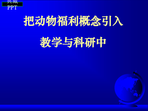 动物福利报告PPT课件