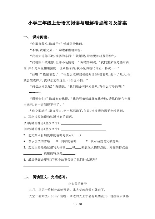 小学三年级上册语文阅读与理解考点练习及答案