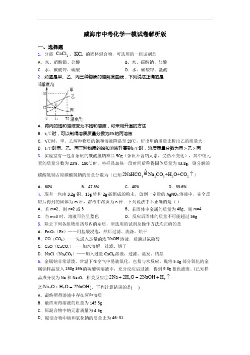威海市中考化学一模试卷解析版