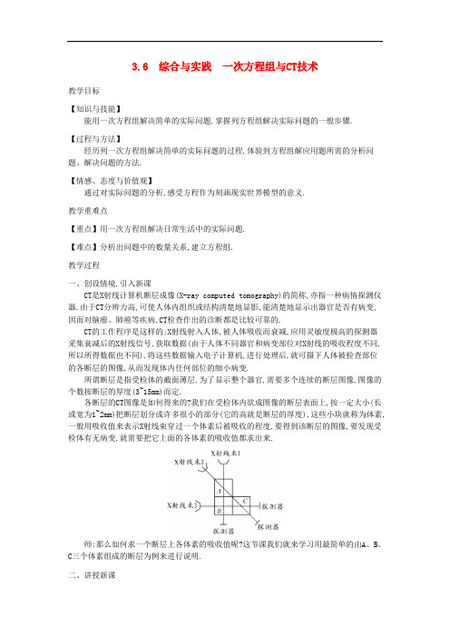 沪科初中数学七年级上册《3.6 综合与实践 一次方程组与CT技术》教案