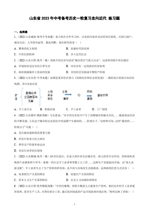 山东省2023年中考备考历史一轮复习走向近代 练习题(含解析)