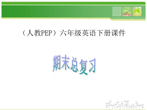 六年级英语下册《期末总复习》PPT课件(人教PEP版).ppt
