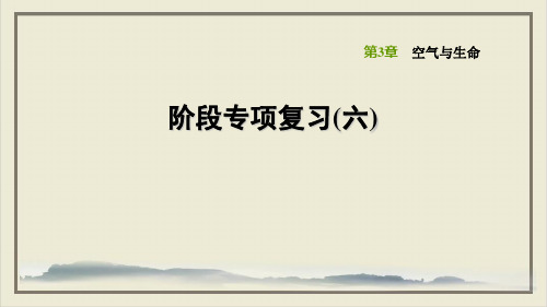 阶段专项复习浙教版八级科学下册习题ppt