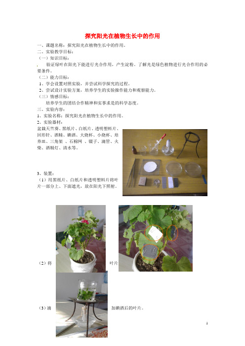 江西省信丰县黄泥中学中考生物实验汇总复习 探究阳光在植物生长中的作用教学设计