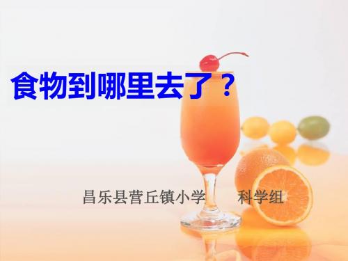 青岛版五年级下册1.食物到哪里去了