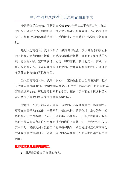 中小学教师继续教育反思周记精彩例文