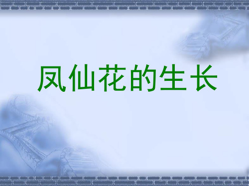 教科版科学三年级下册观察记录：凤仙花的生长