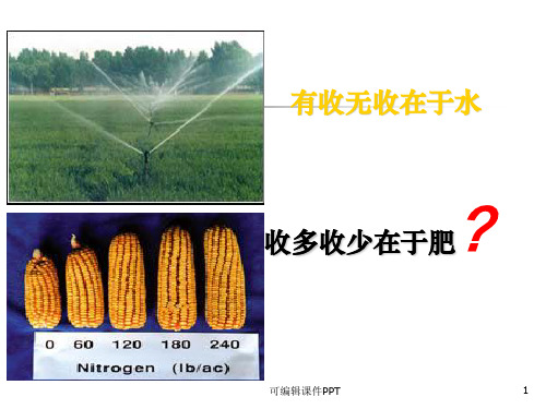 第2章 植物的矿质营养ppt课件