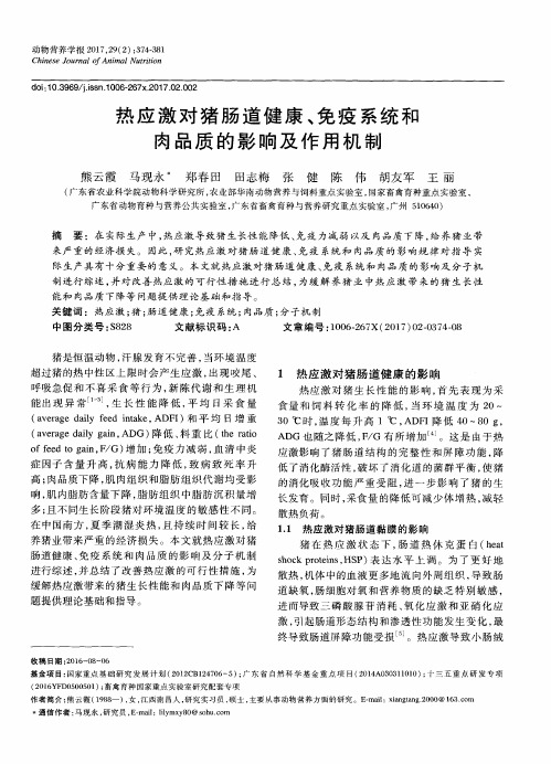 热应激对猪肠道健康、免疫系统和肉品质的影响及作用机制