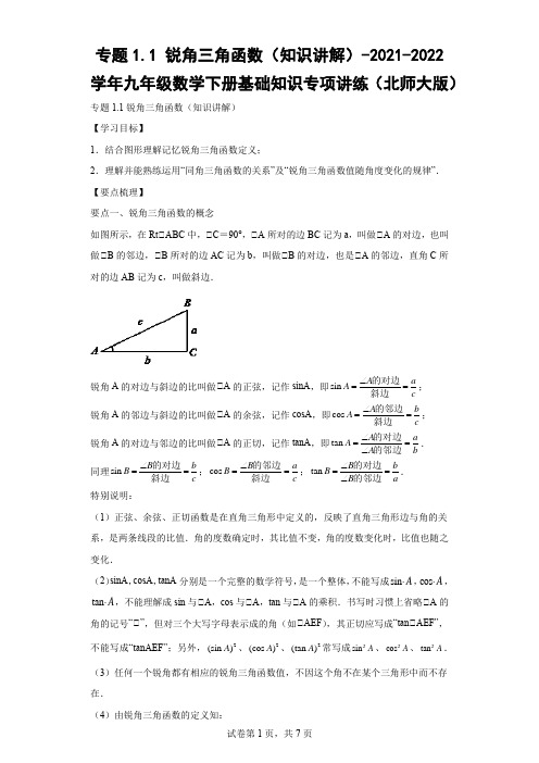 九年级数学下册基础知识专项讲练(北师大版)专题 锐角三角函数