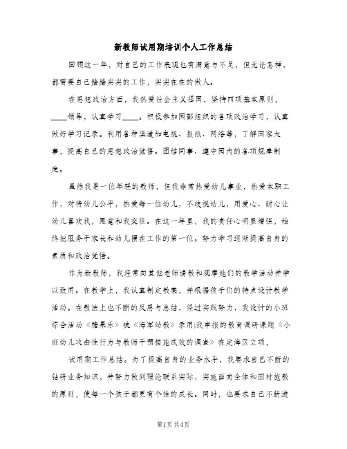 新教师试用期培训个人工作总结（2篇）