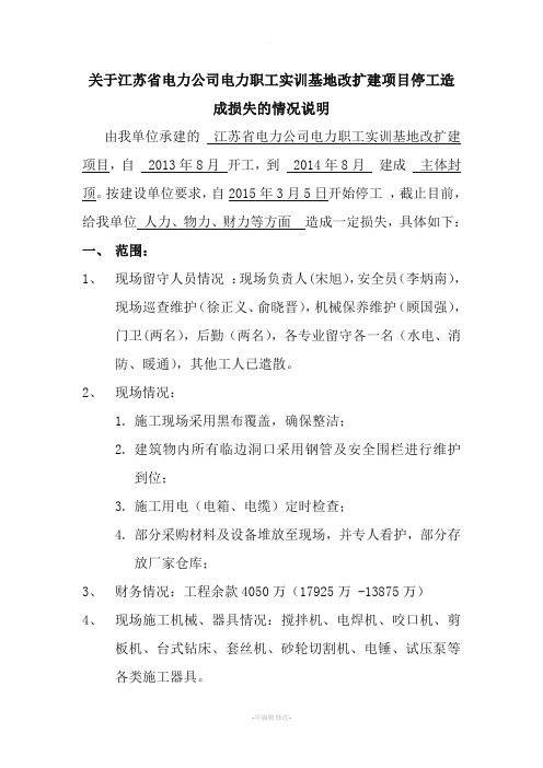 关于项目停工造成损失的情况说明