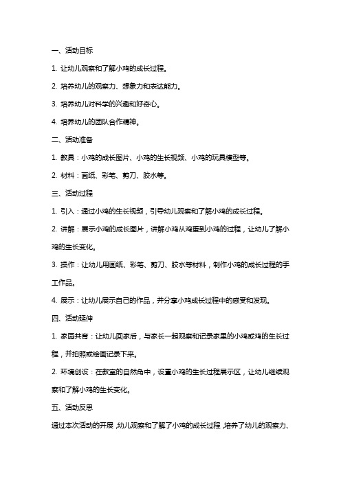 小班科学活动教案小鸡长大了